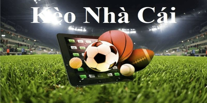 Kèo châu Á phù hợp với nhiều đối tượng khác nhau
